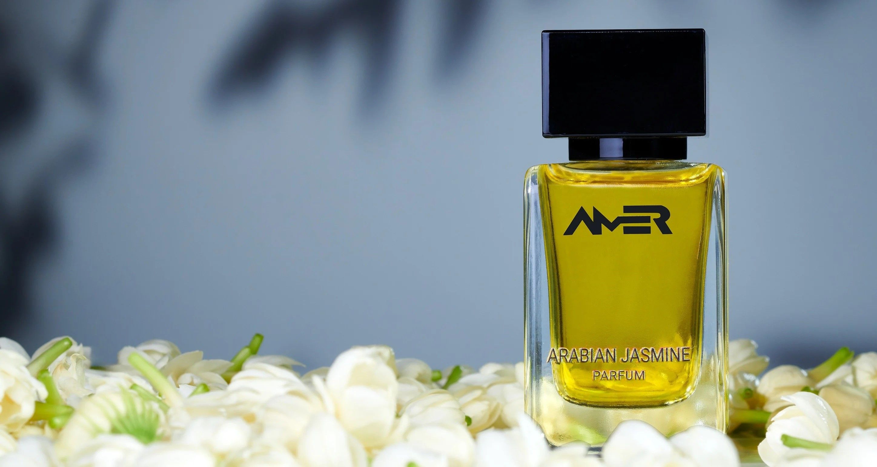 arabian jasmine amer perfumes