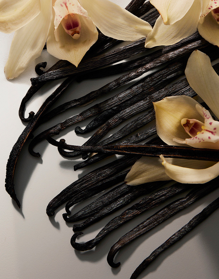vanilla