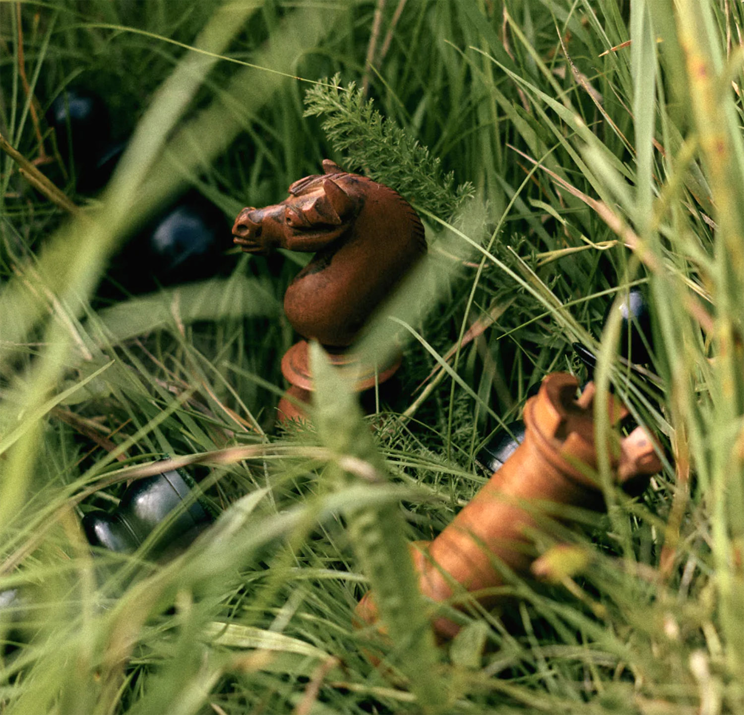 草と、草の中のチェスの駒。