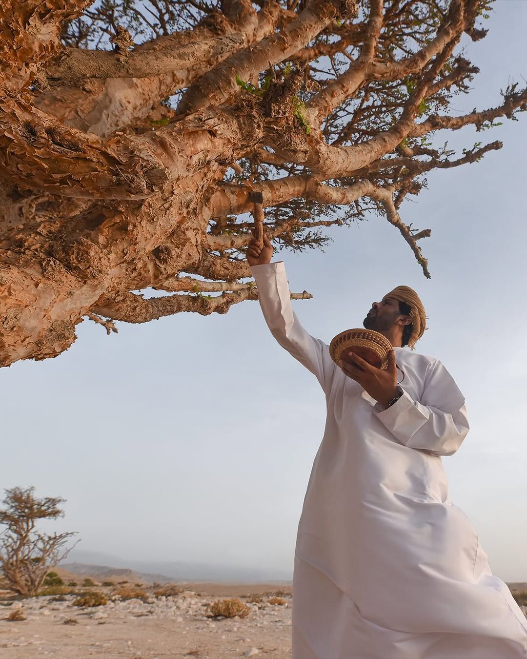 Purpose 50 by Amouage: In Search of the Perfect Incense