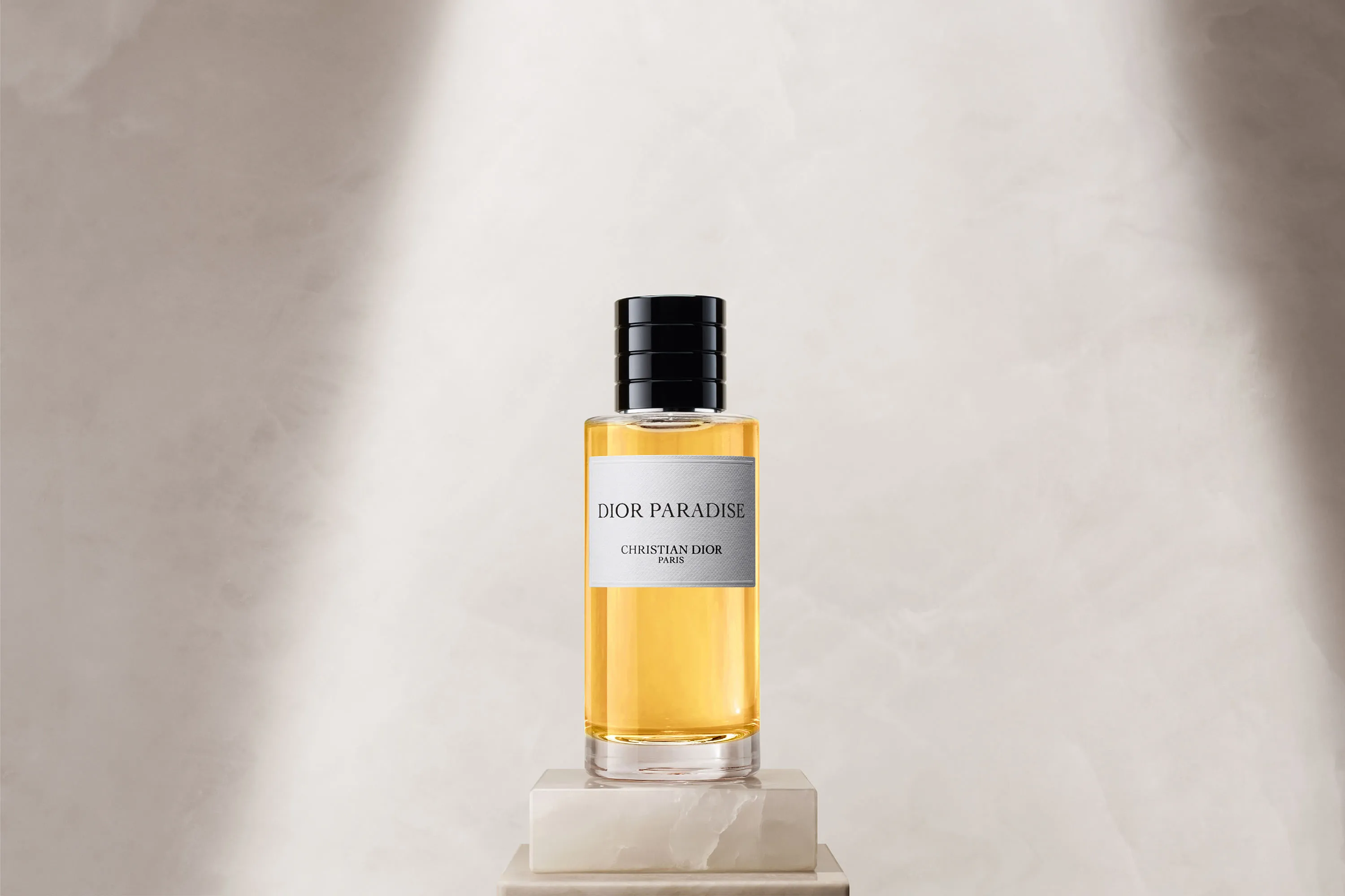 Dior Paradise | Christian Dior ~ Agora Nas Lojas