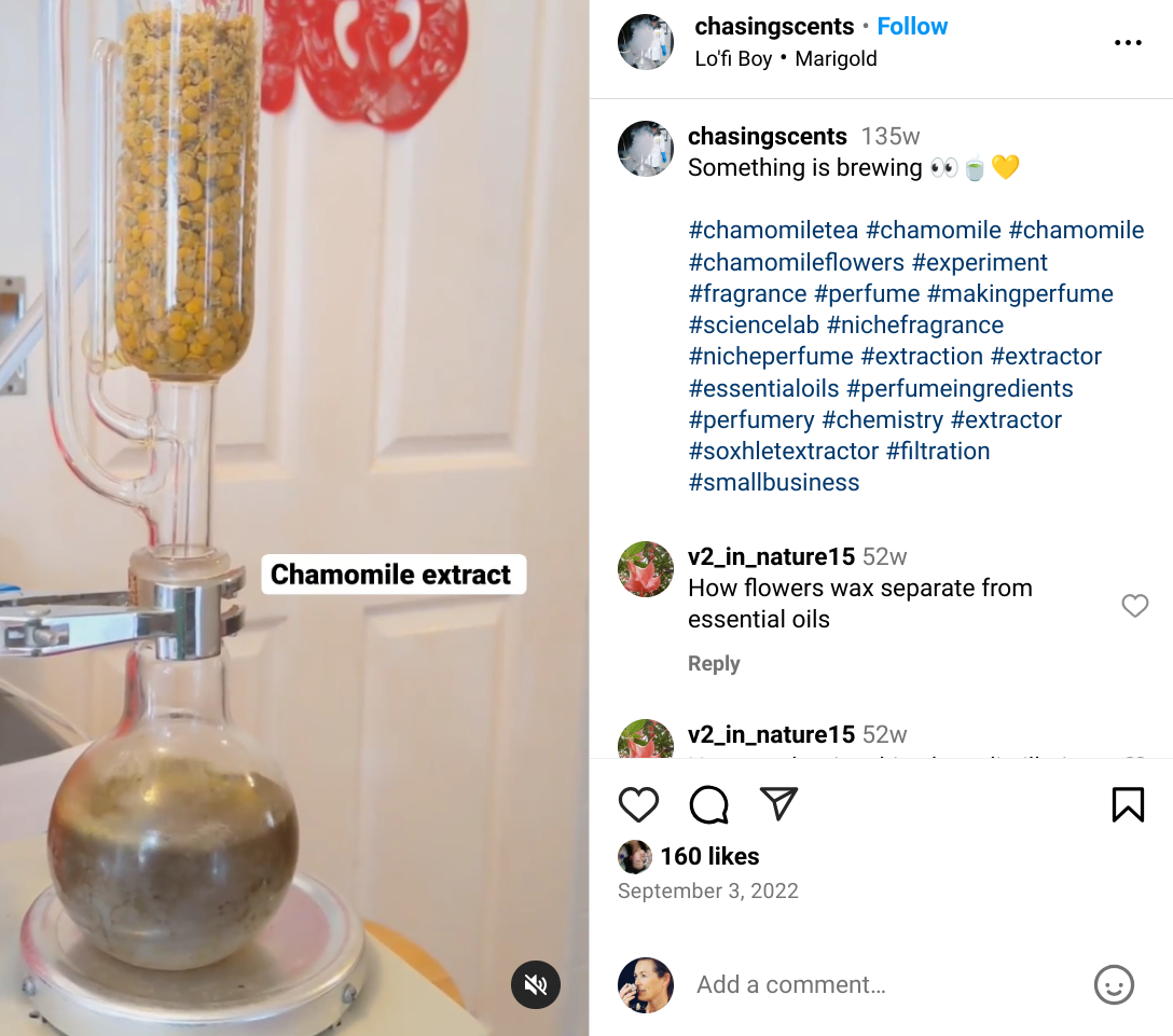 Chasing Scents Instagram post