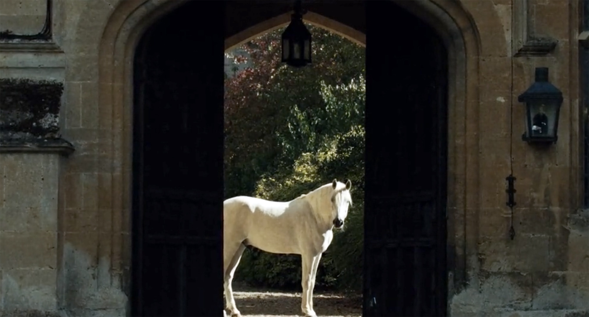 プロモーションビデオのCreedの馬の画像。