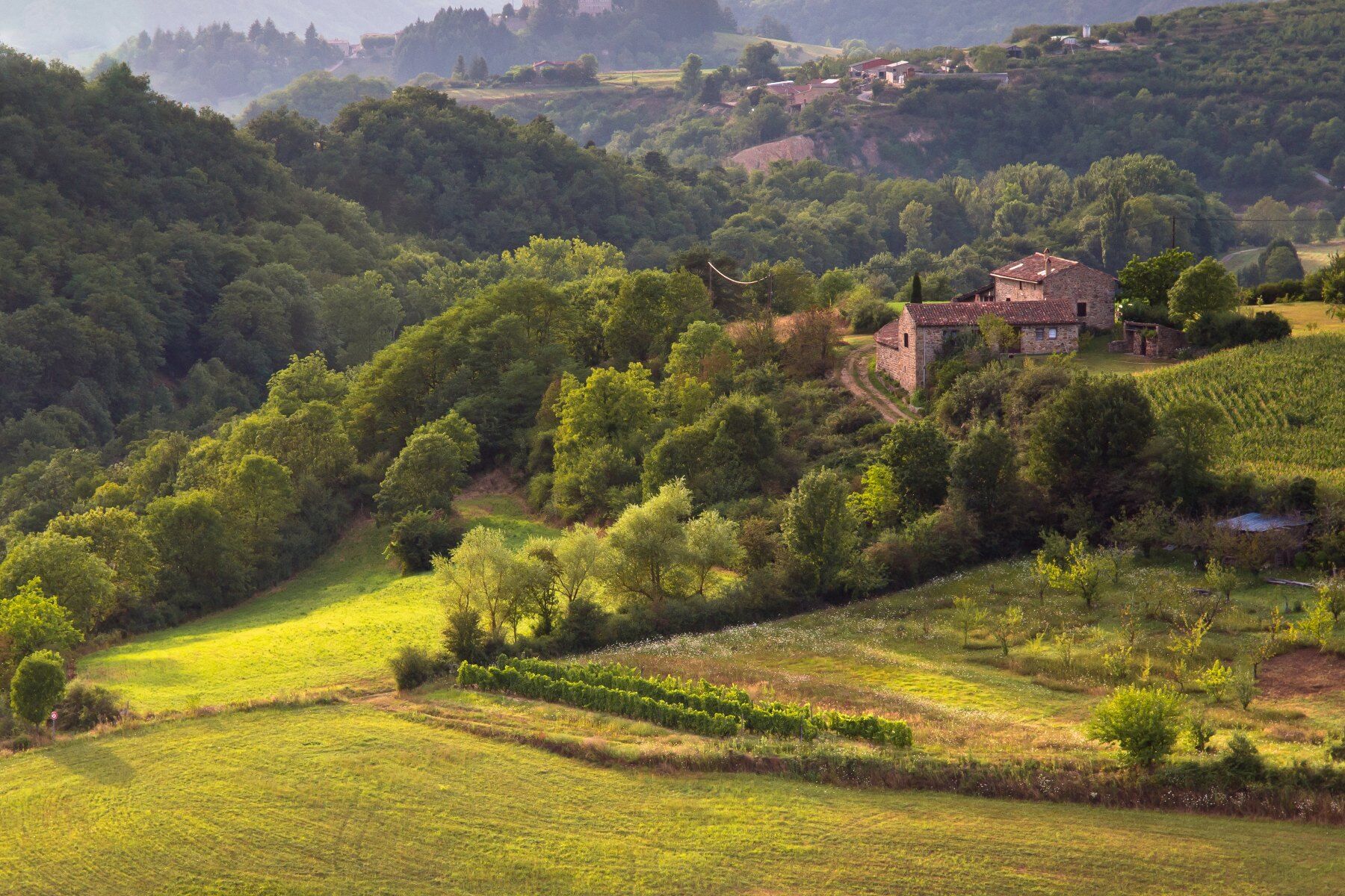 A French landscape with buildings in the distance and lush greenery