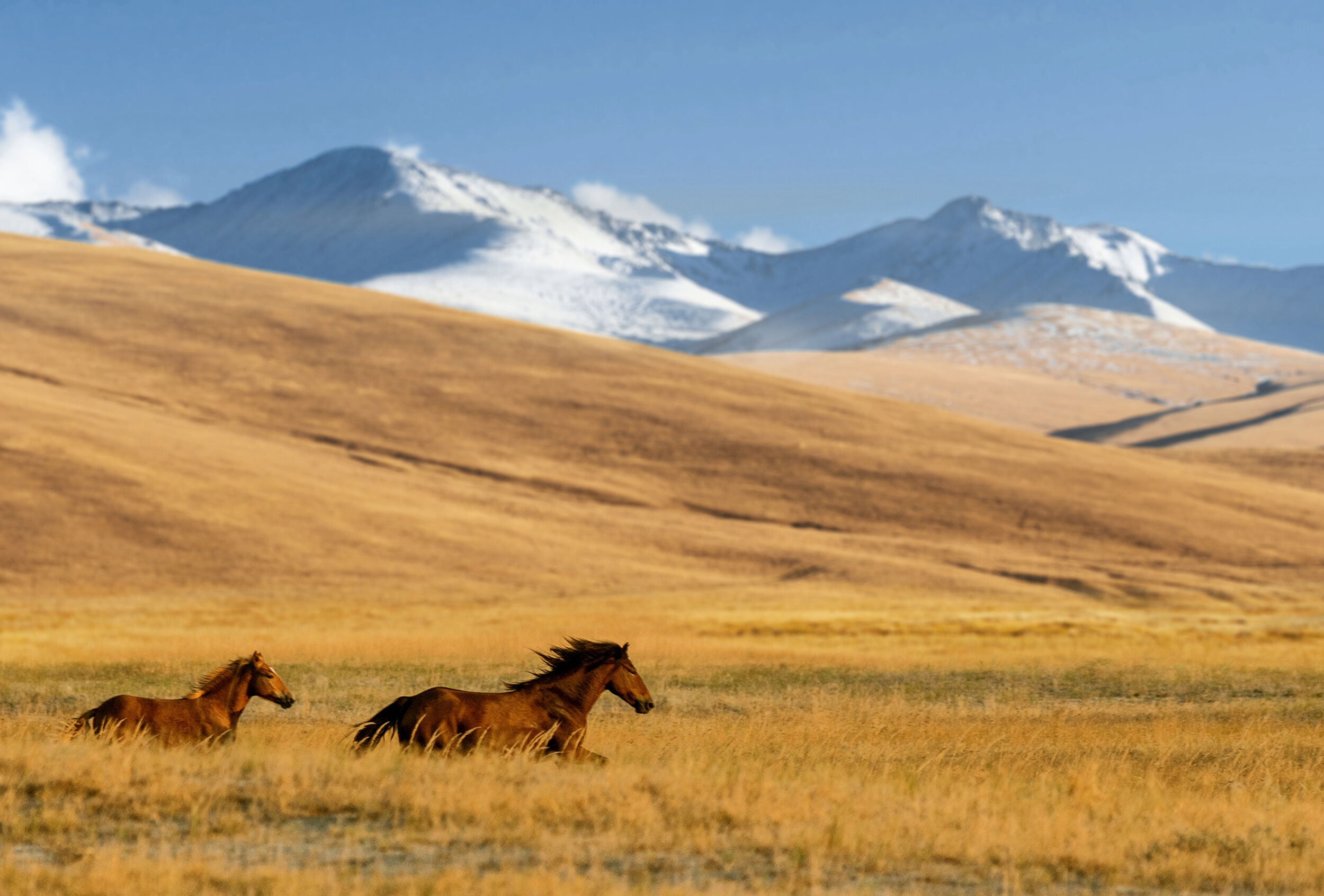 Silence of the Lakes by Aura of Kazakhstan: The Mystery of the Five Lakes