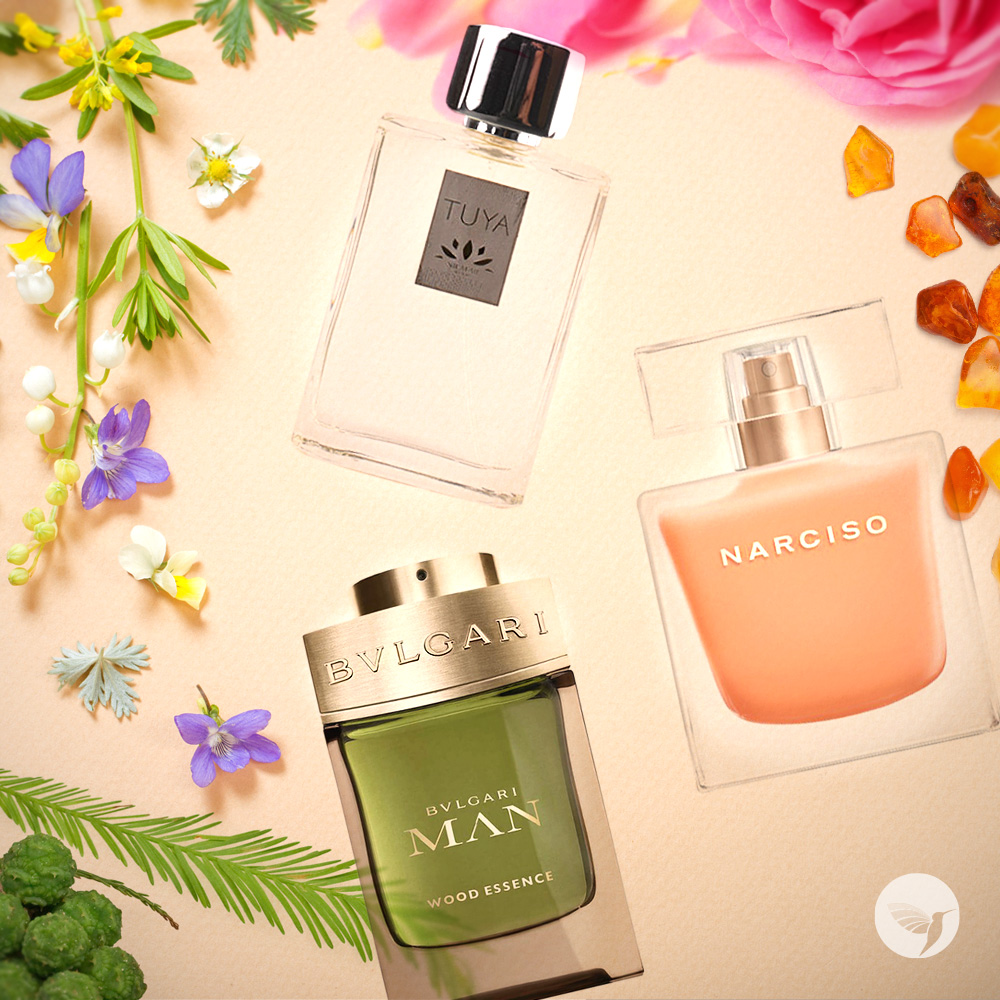 15 Best Spring Fragrances of 2023 — Editor Reviews