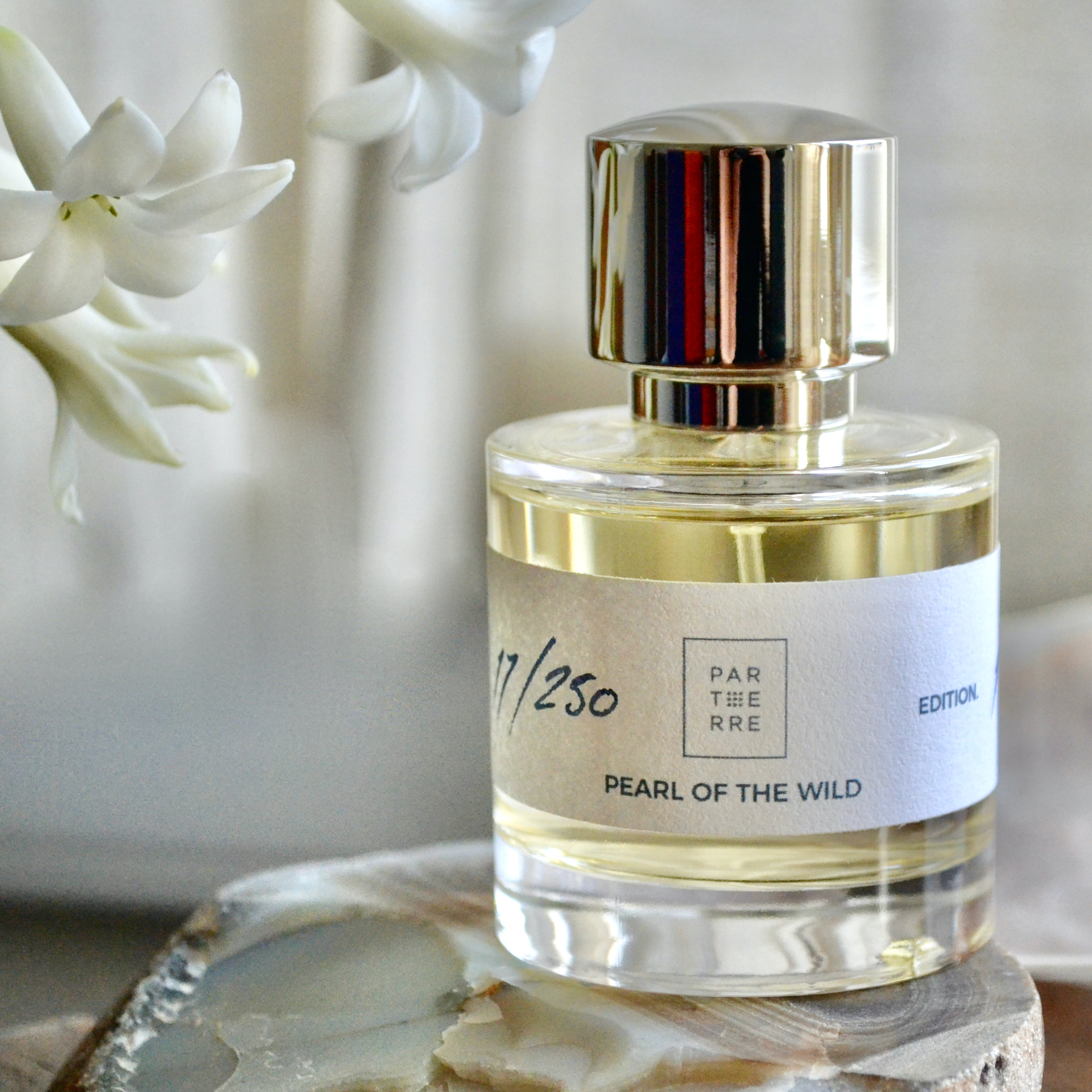 Perla divočiny od Parterre