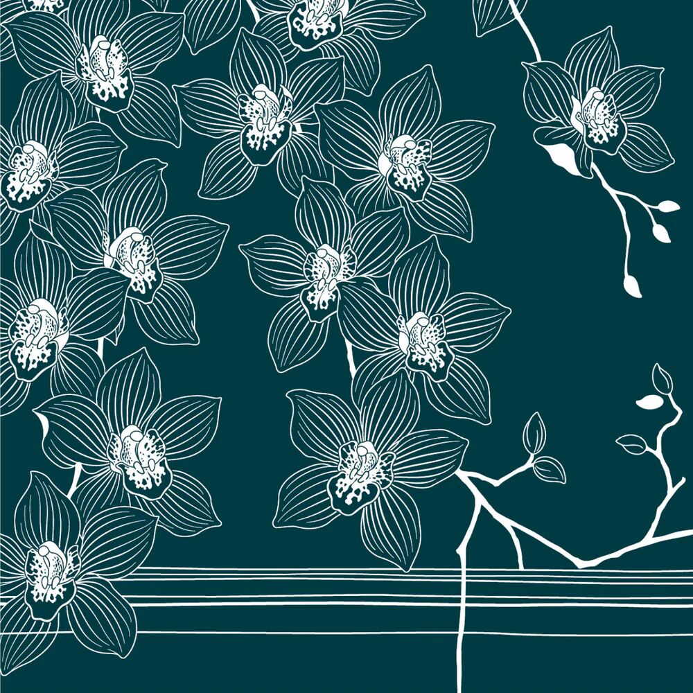 orchid Kella K