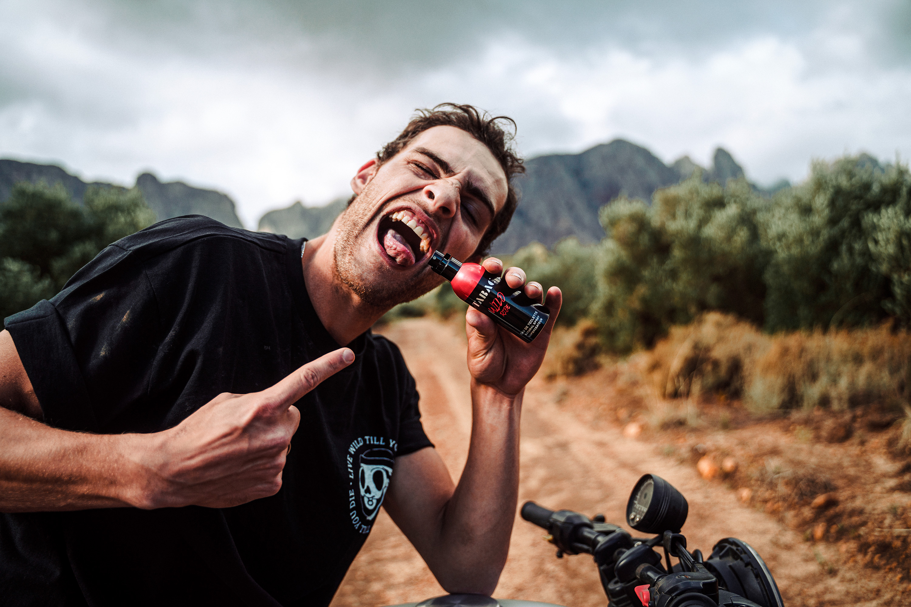 tabac divoká růže