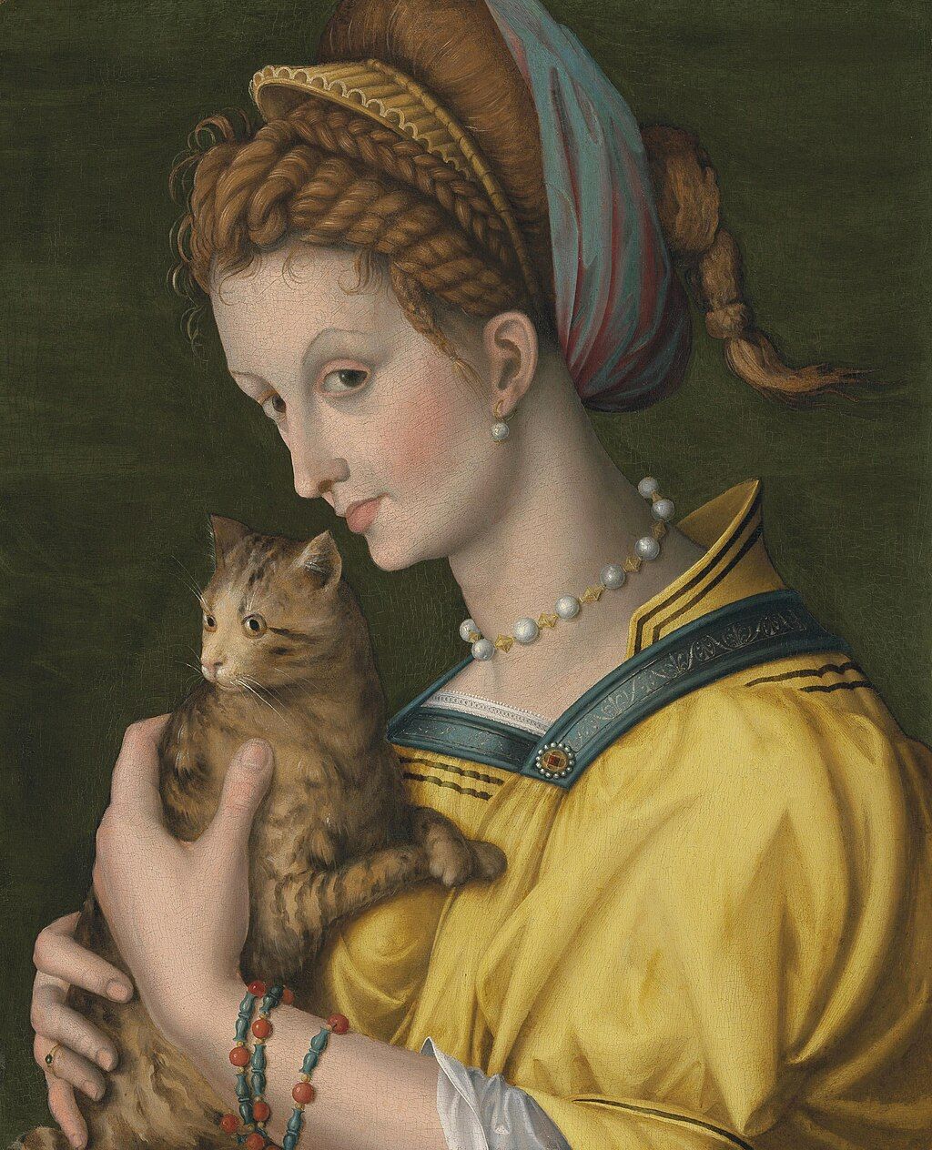 Francesco Bacchiacca, Portrait of a young lady holding a cat