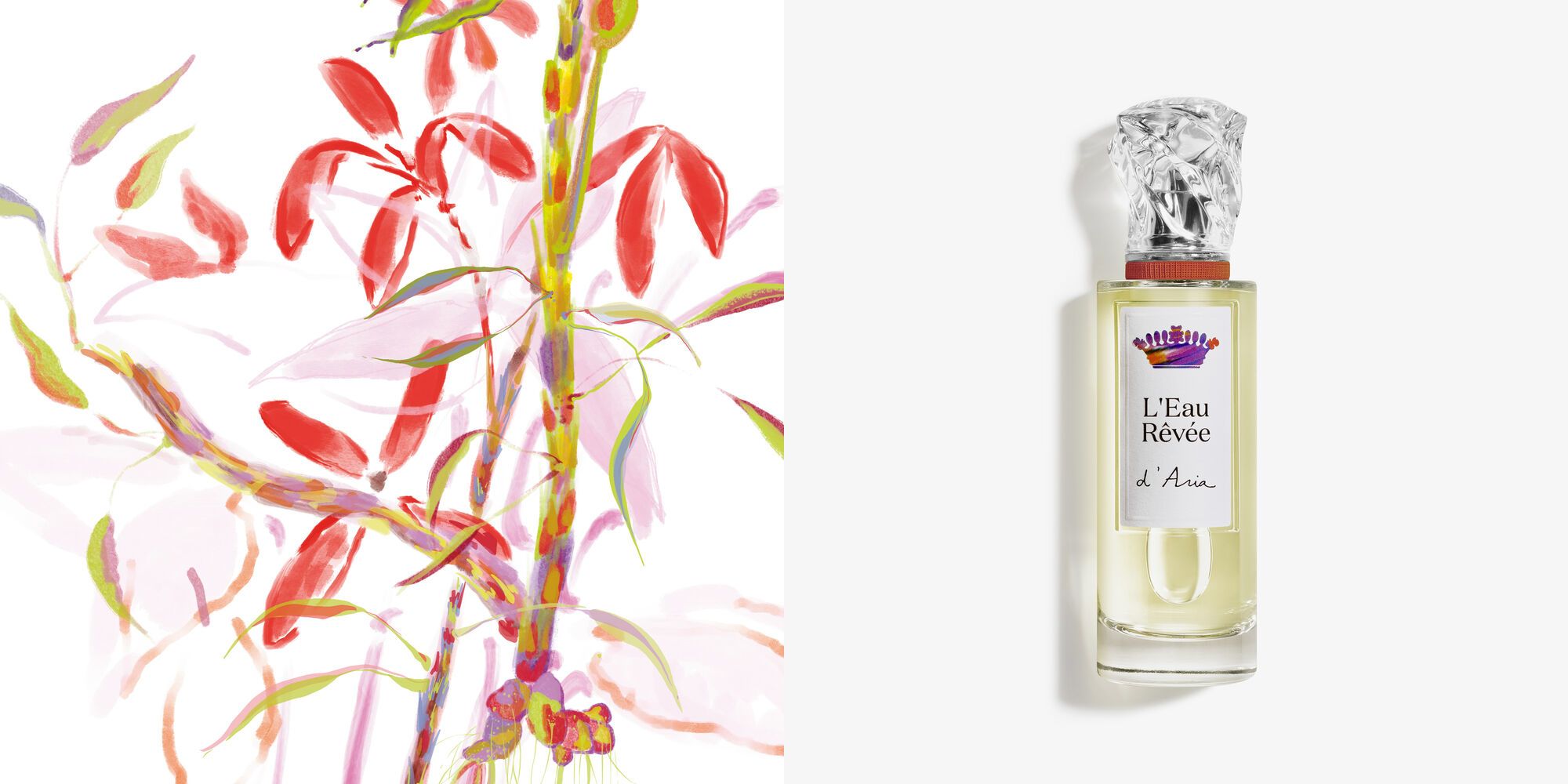 L'Eau Rêvée D'Aria for women and men