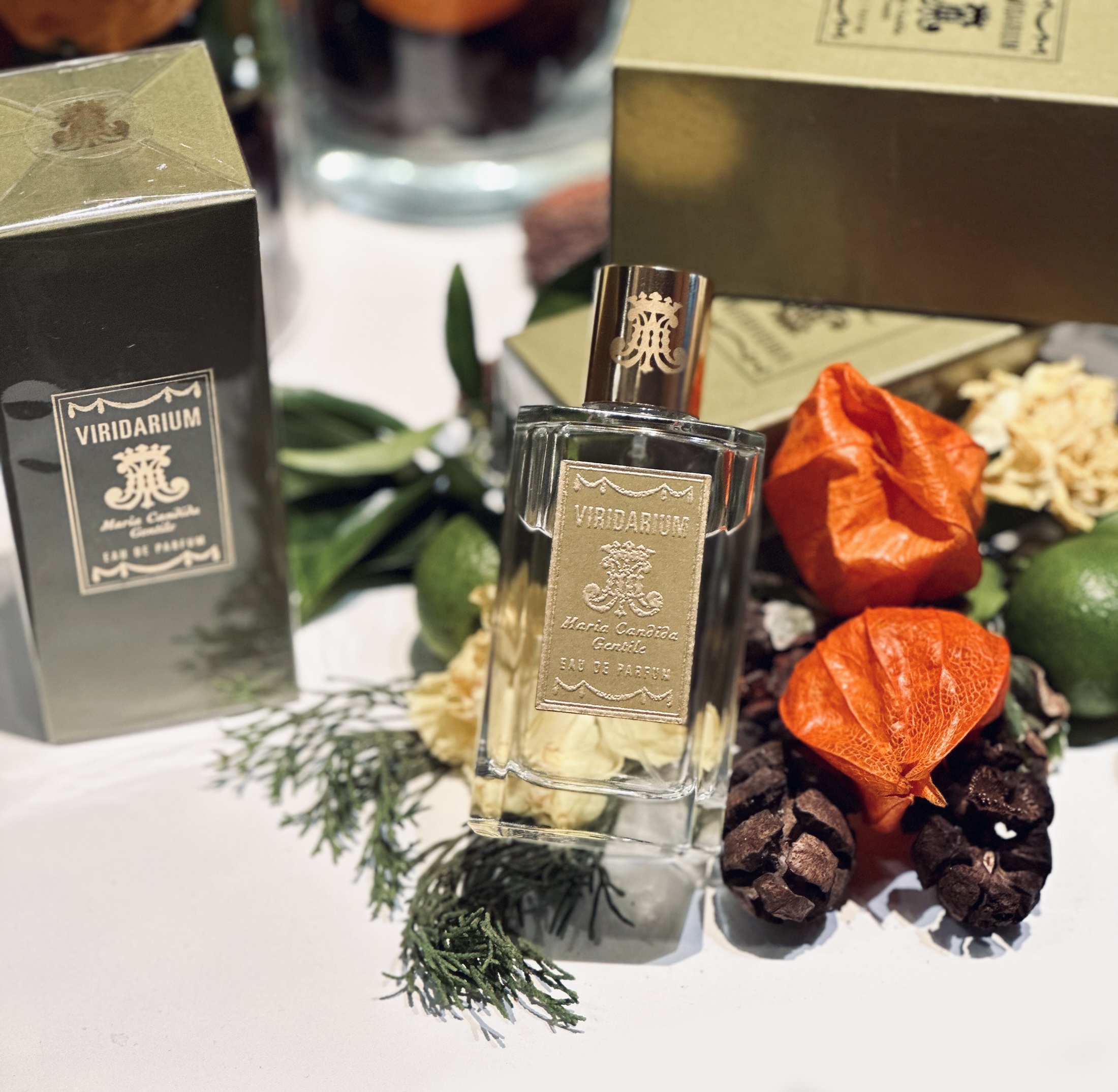 Viridarium от Maria Candida Gentile: дыхание времени