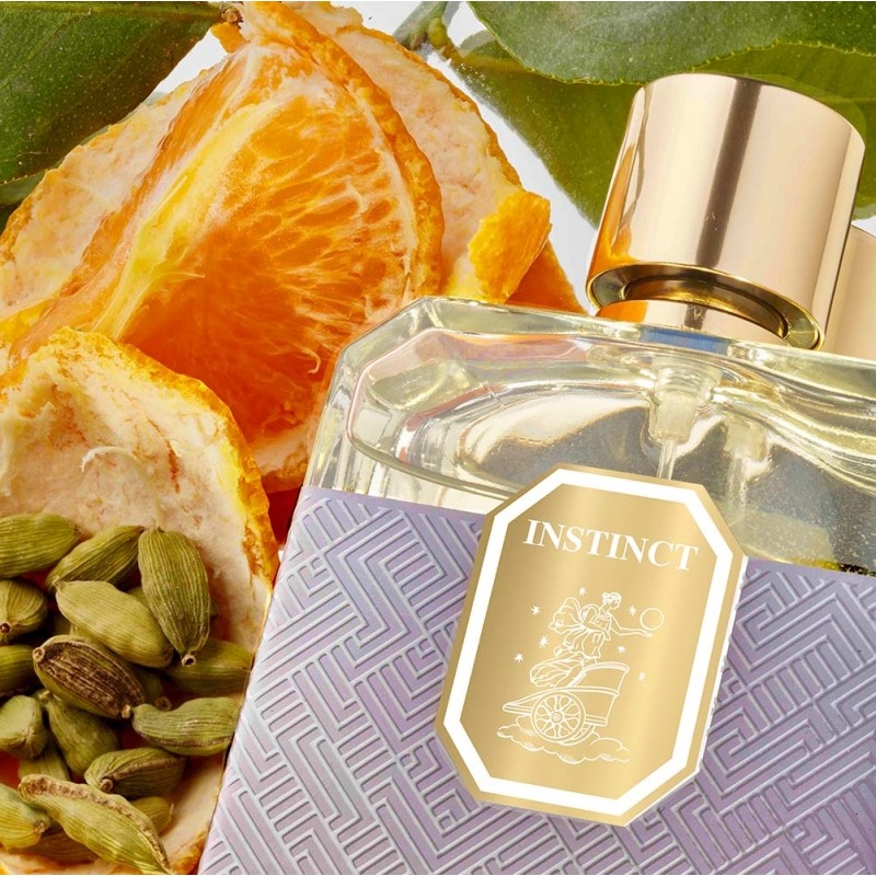 instinct ggema paris