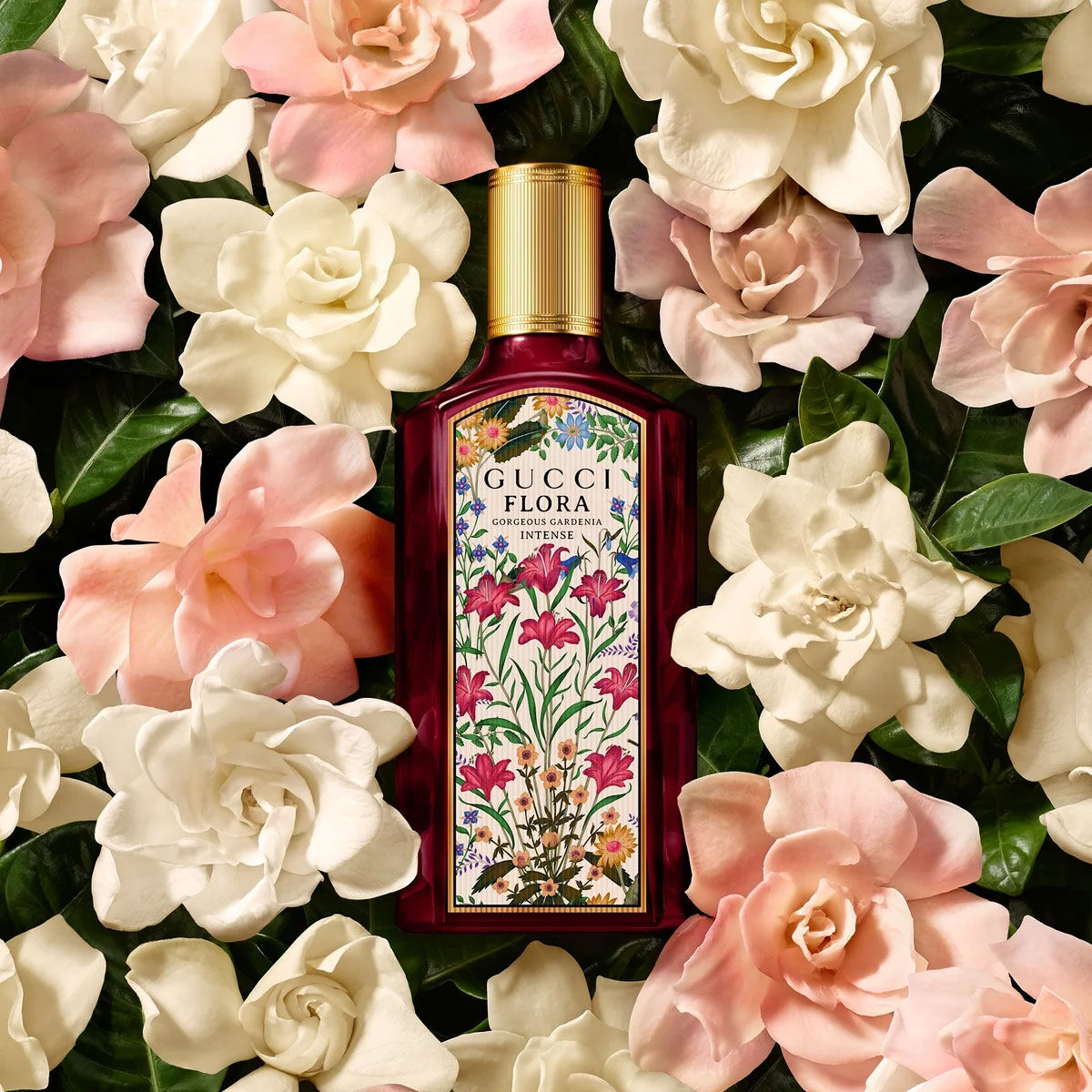 Gucci的Flora Gorgeous Gardenia Intense香水~ 新香水