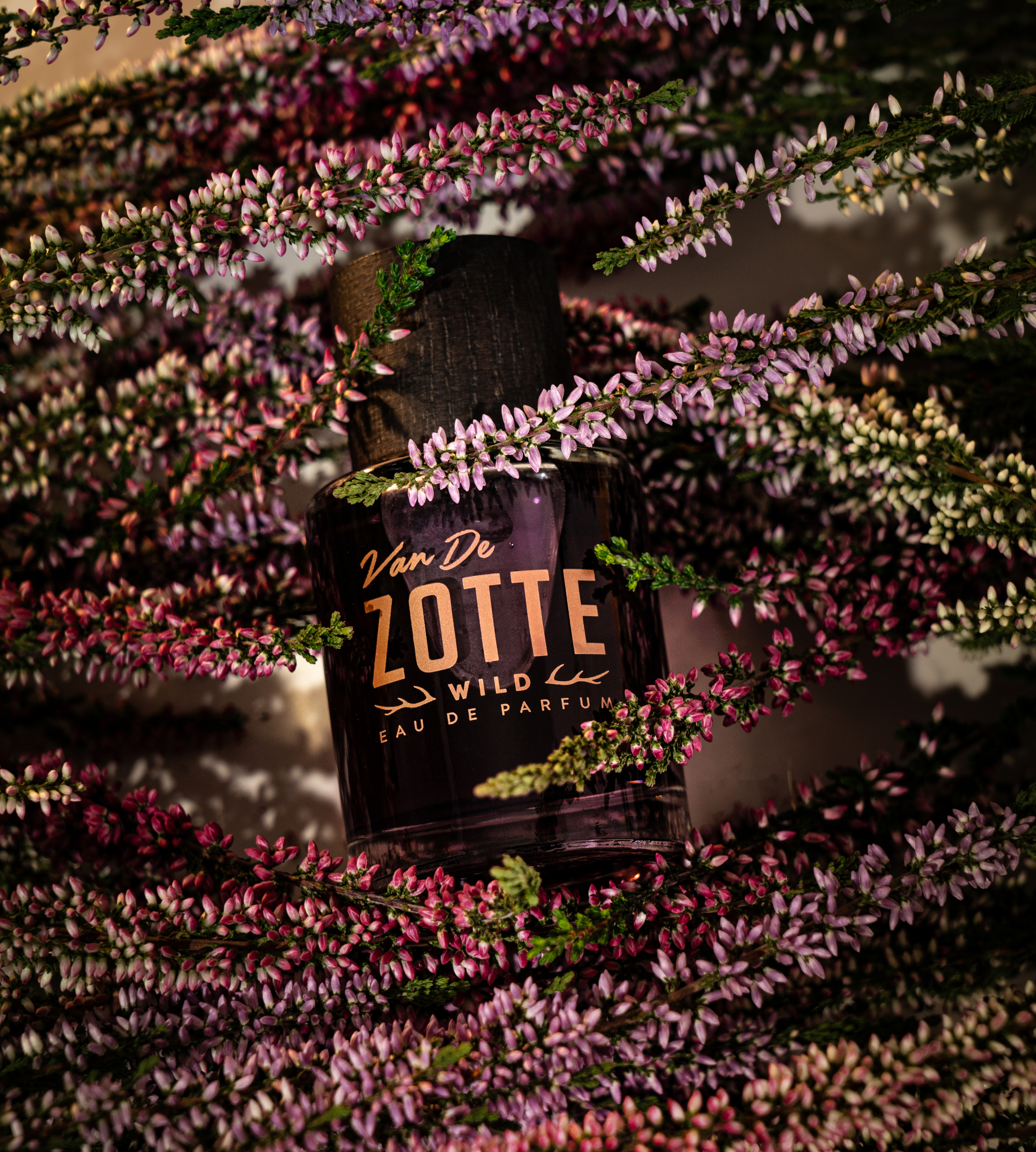 Wild by Van de Zotte