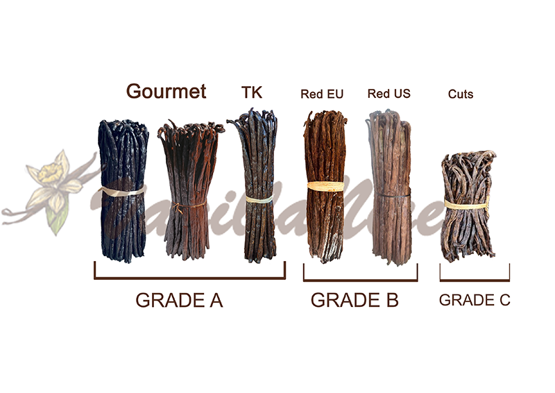 Madagascar Vanilla Grading