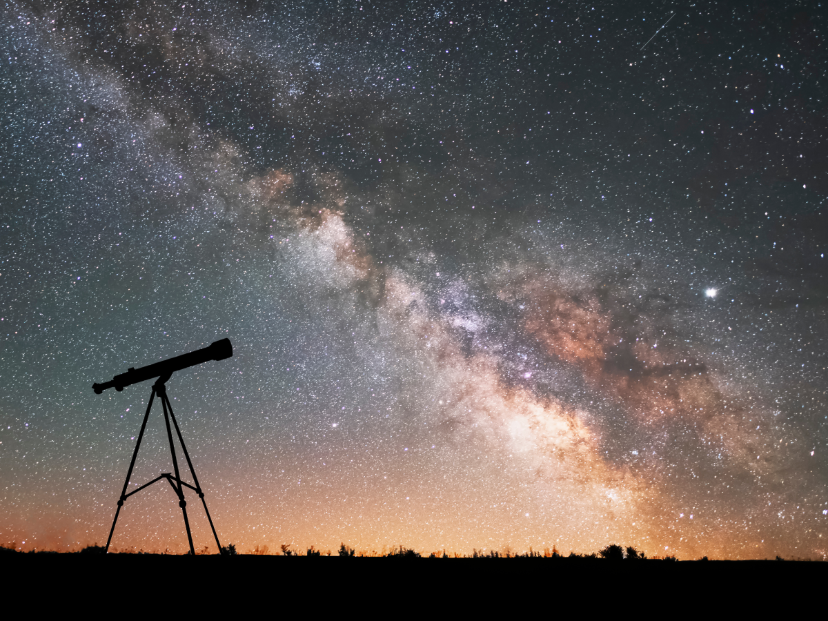 Tuberiuse Astrale by Maison Crivelli