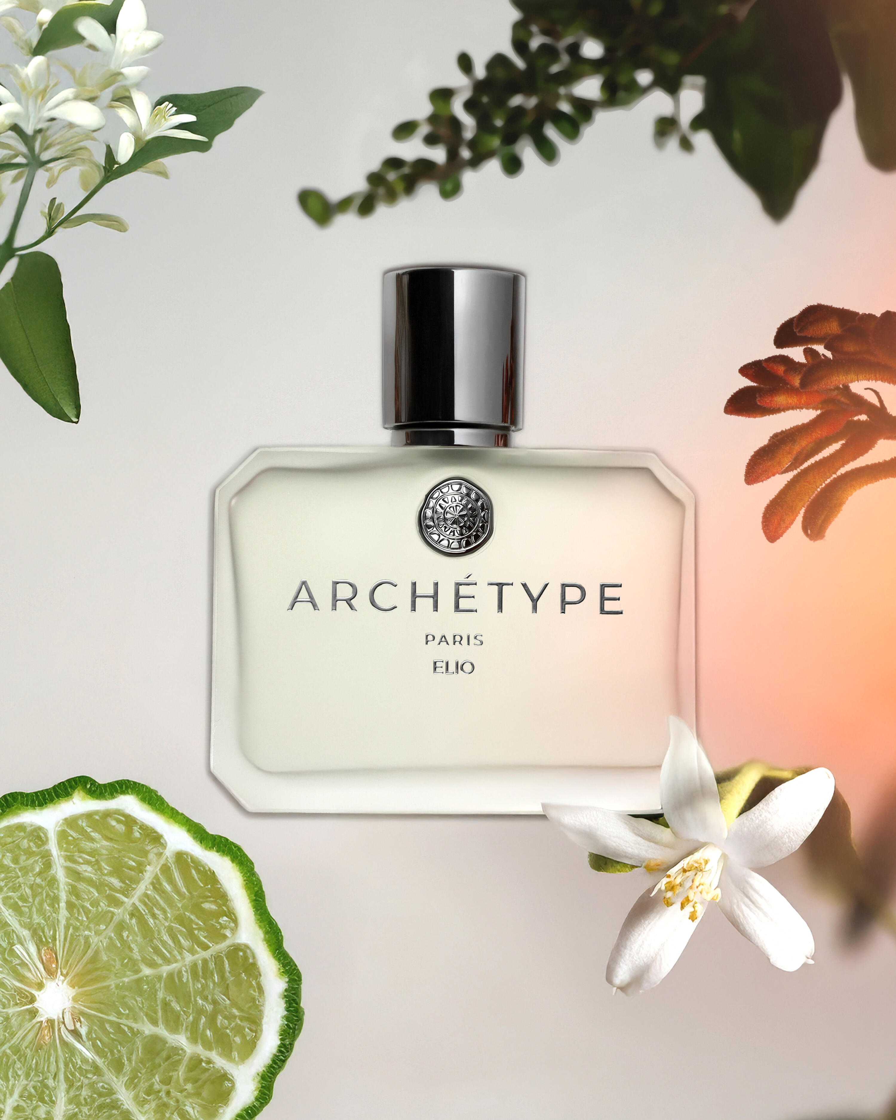 Archétype: Simple Forms, Complex Scents ~ Fragrance Reviews