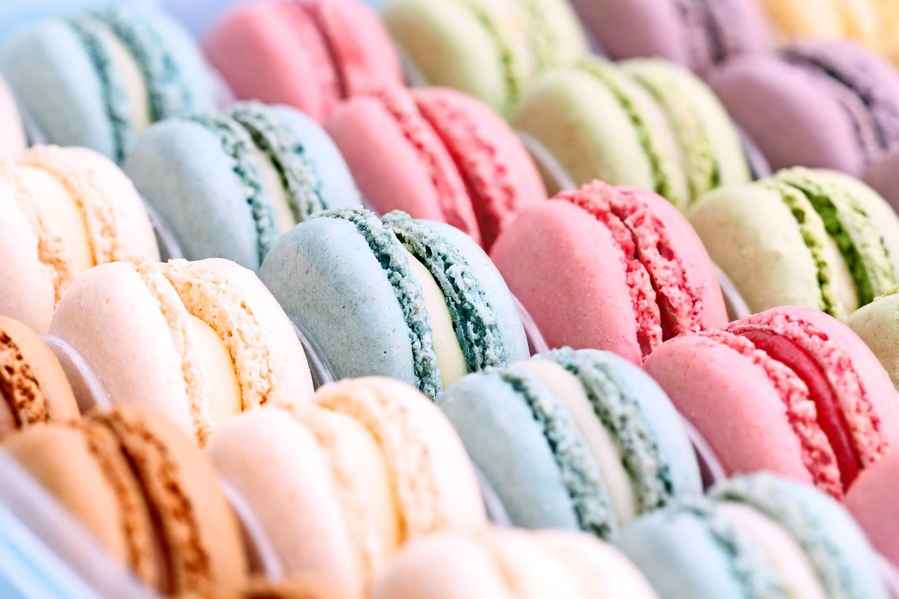 Brightly coloured macarons in lines
