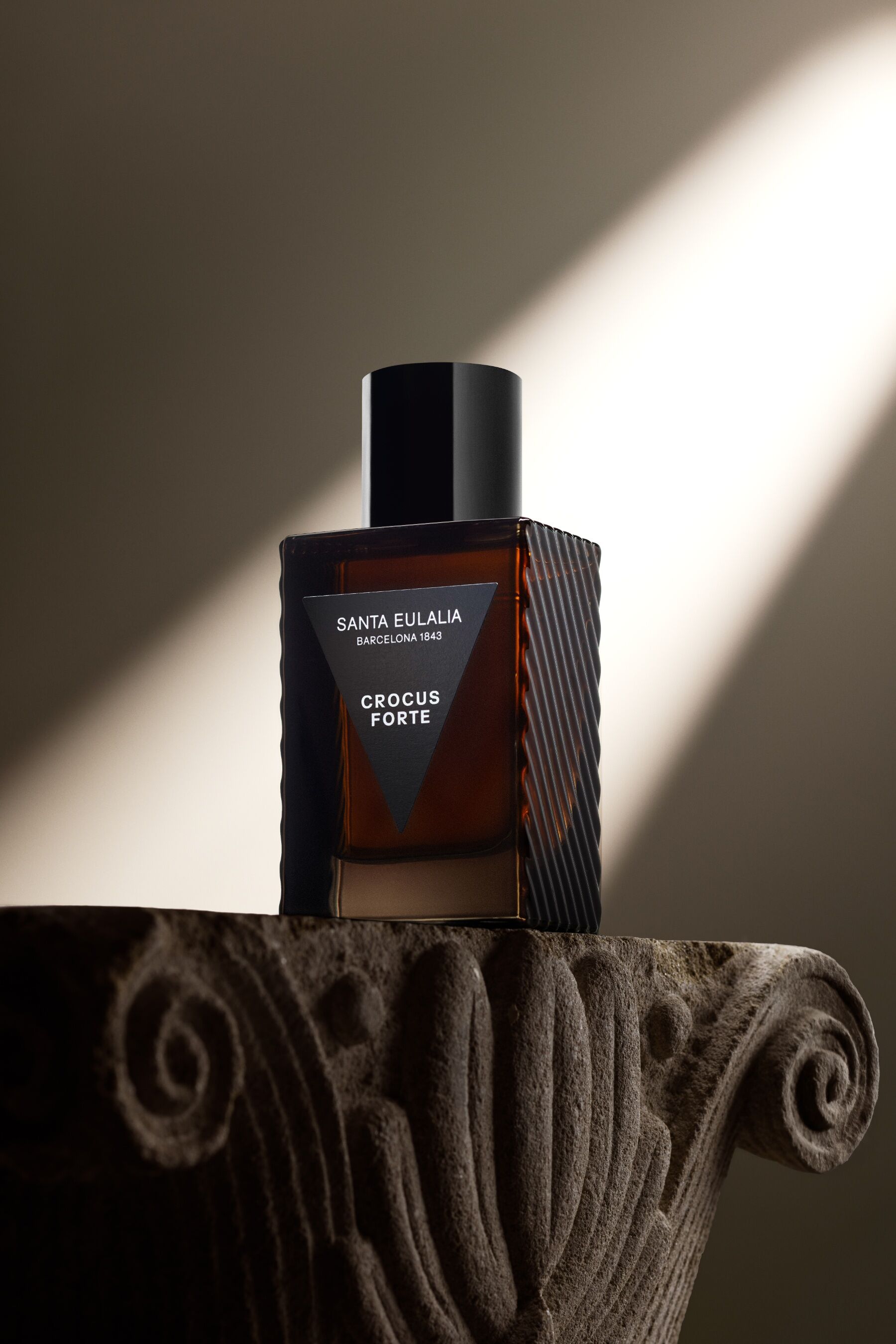 Crocus Forte na polici s šikmým paprskem slunce v pozadí