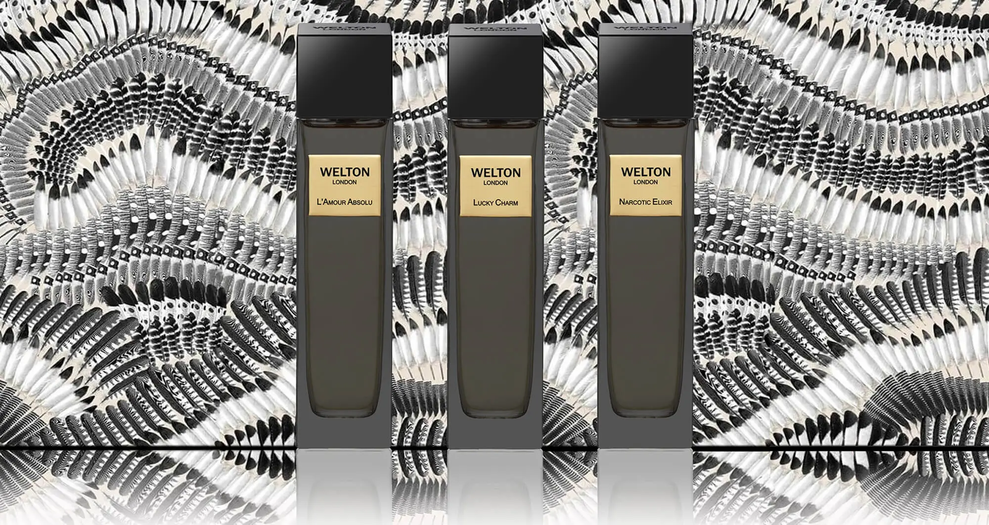 ESXENCE 2024: Welton London Presents The Golden Elixir Collection ~ Niche  Perfumery