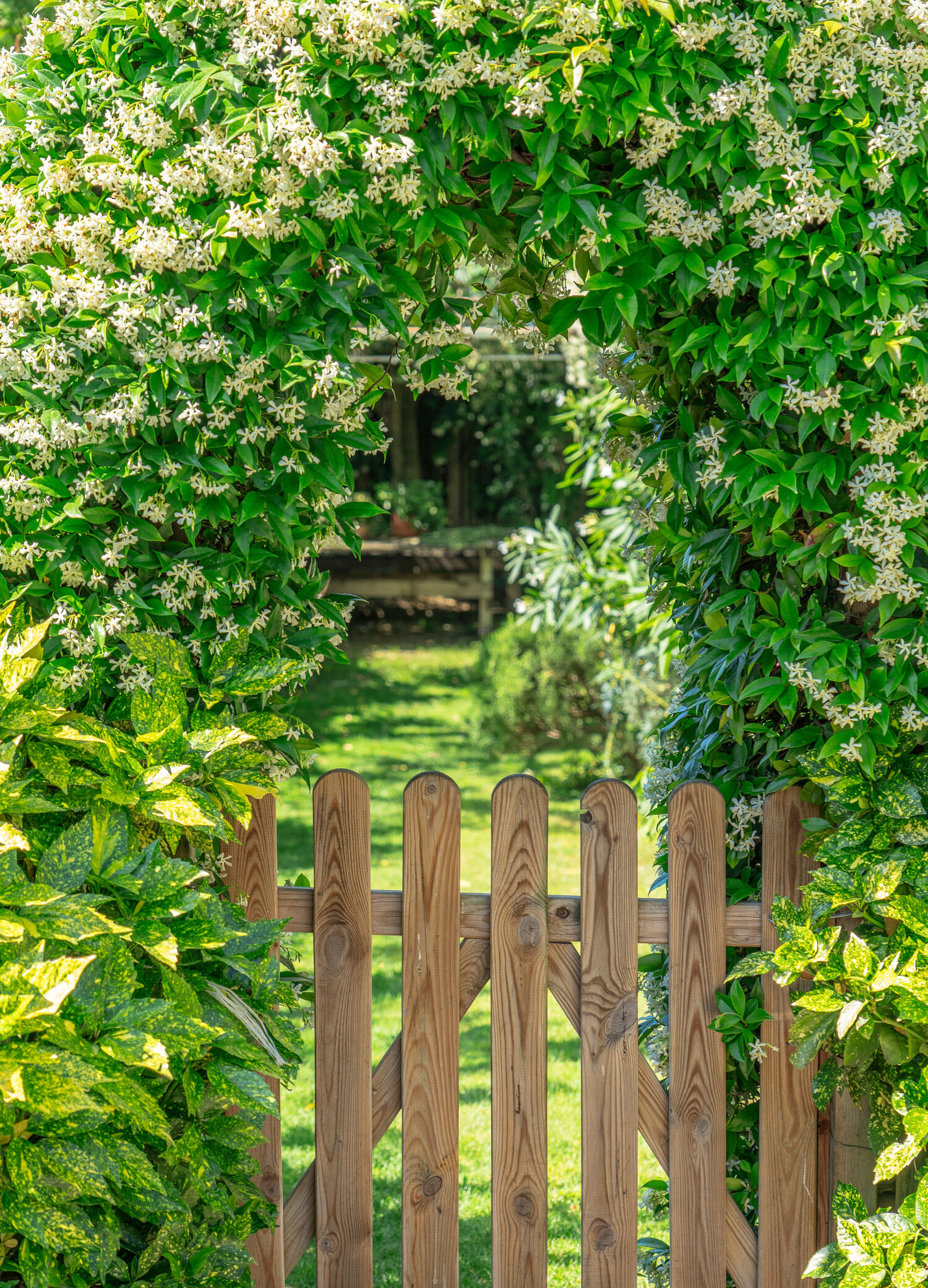 155 ЛЕТ «PENHALIGON’S»: GLORIOUS GLEE OF «GARDENIA»