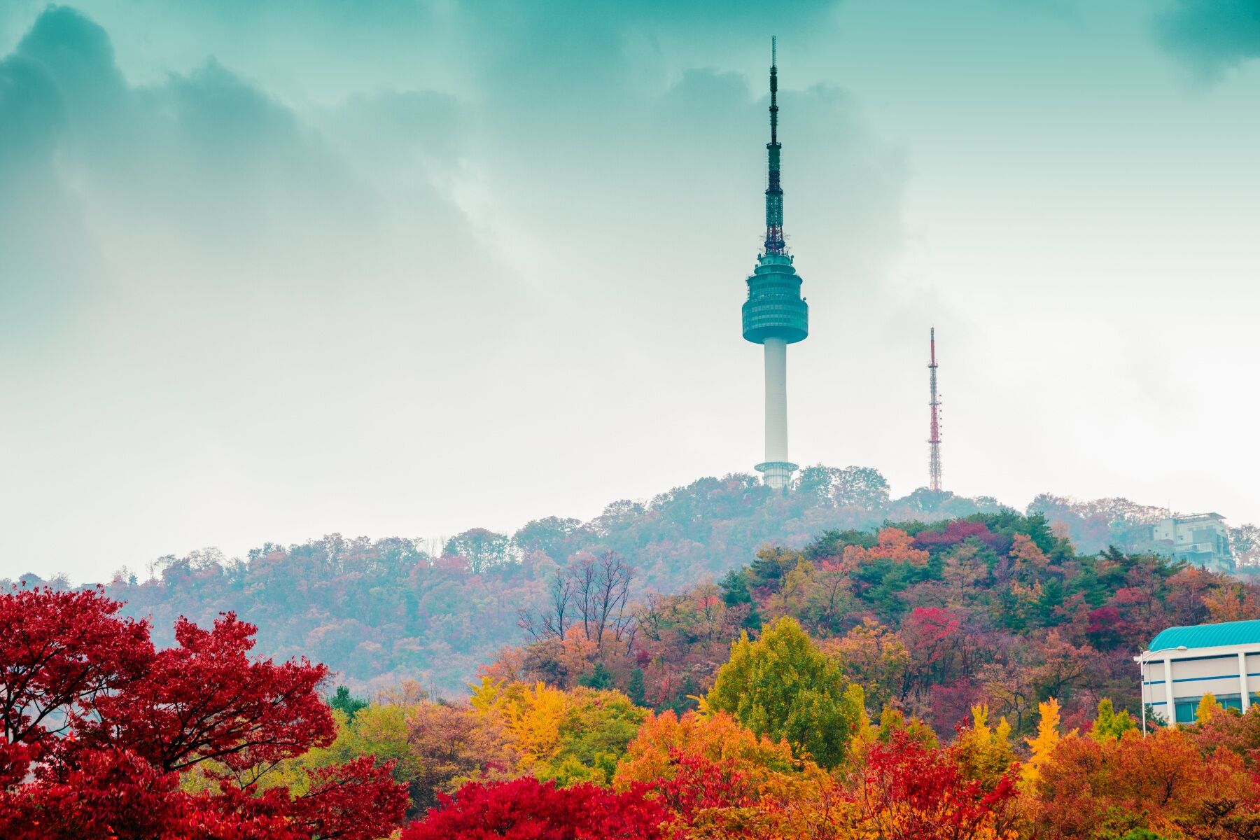 A hillside in Seoul covered in autumnal coloured trees with the spire of a tower sticking out
