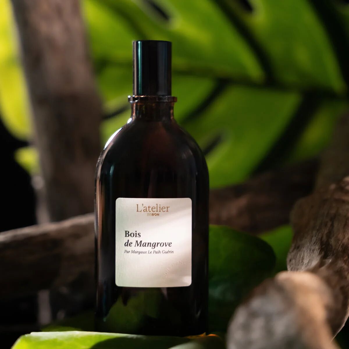bois de mangrove 100bon