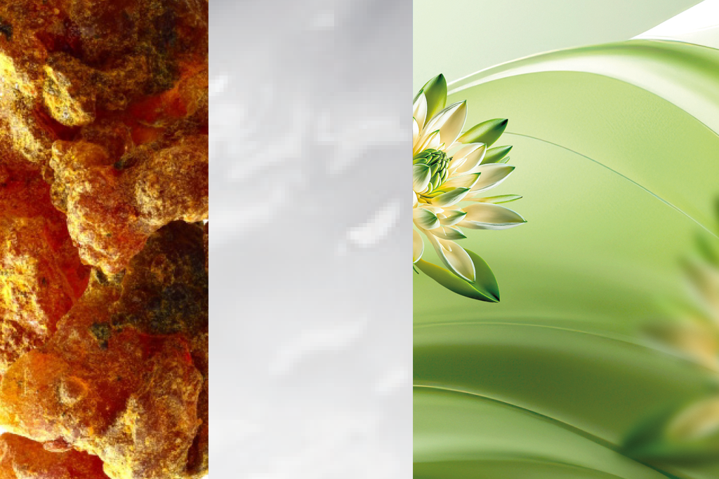 Dilshad 17.1 by Pierre Guillaume: Pistachio & Tuberose