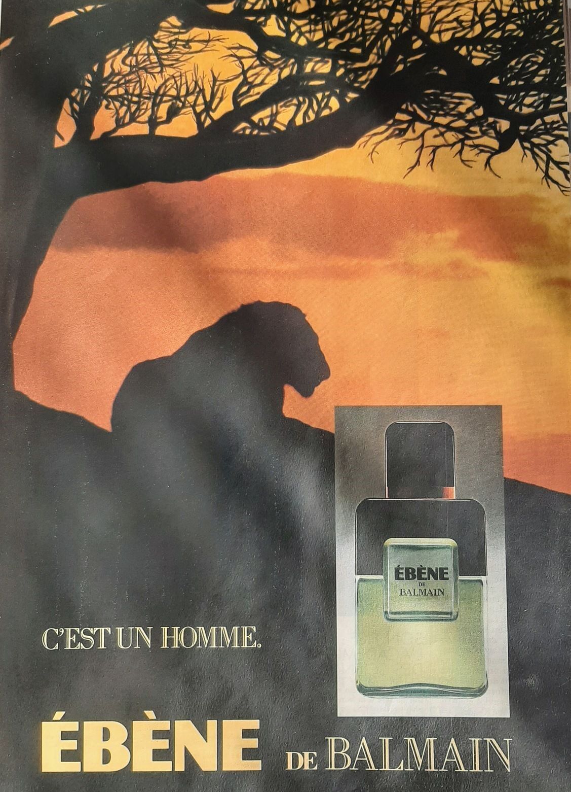 ebene 1983 pierre balmain