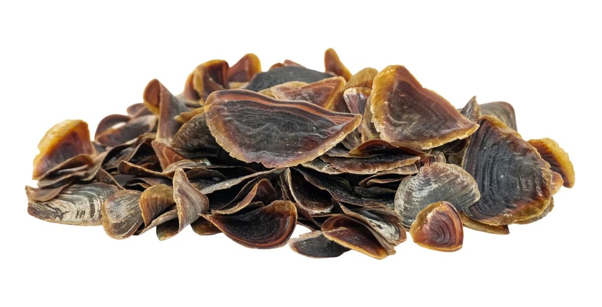 Onycha shells for Bakhoor powder