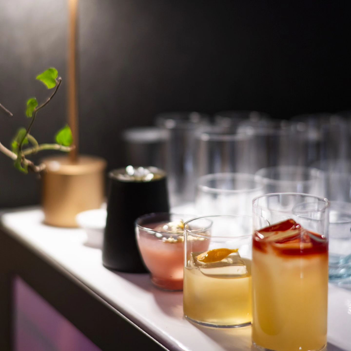 xerjoff cocktails