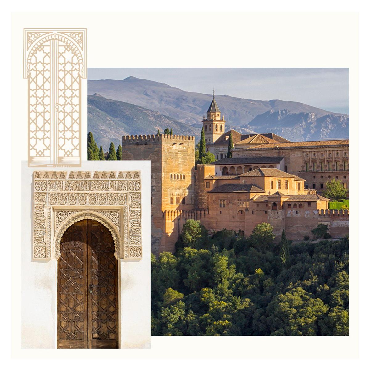 widian granada