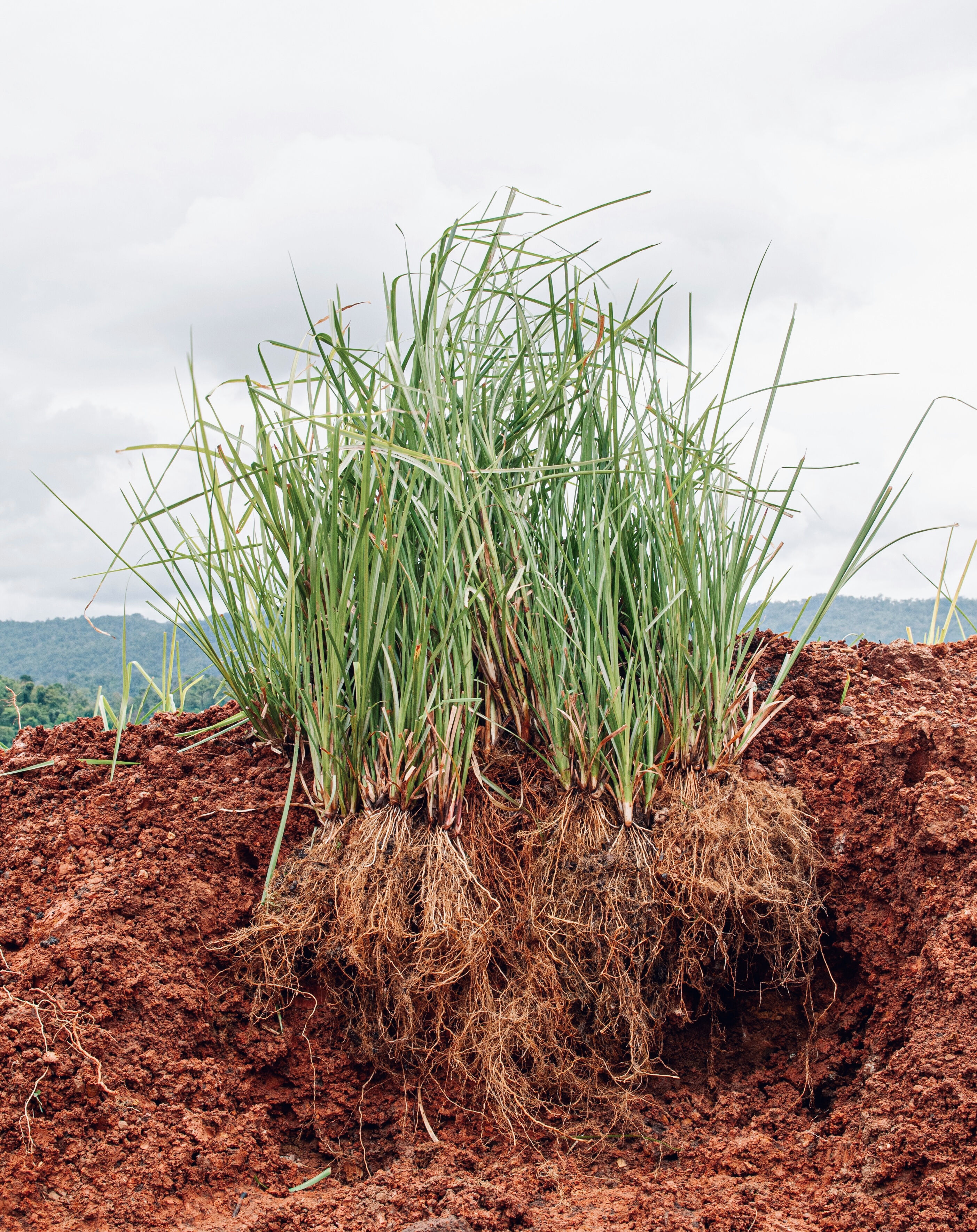 Purpose 50 by Amouage: In Search of the Perfect Incense