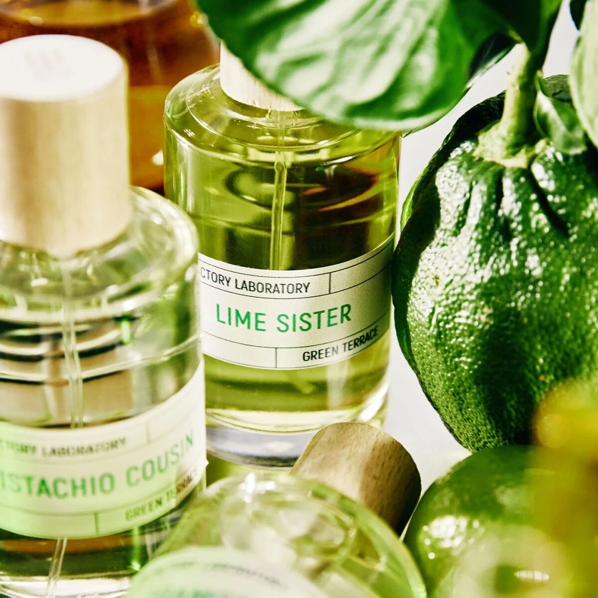 Lime Sister