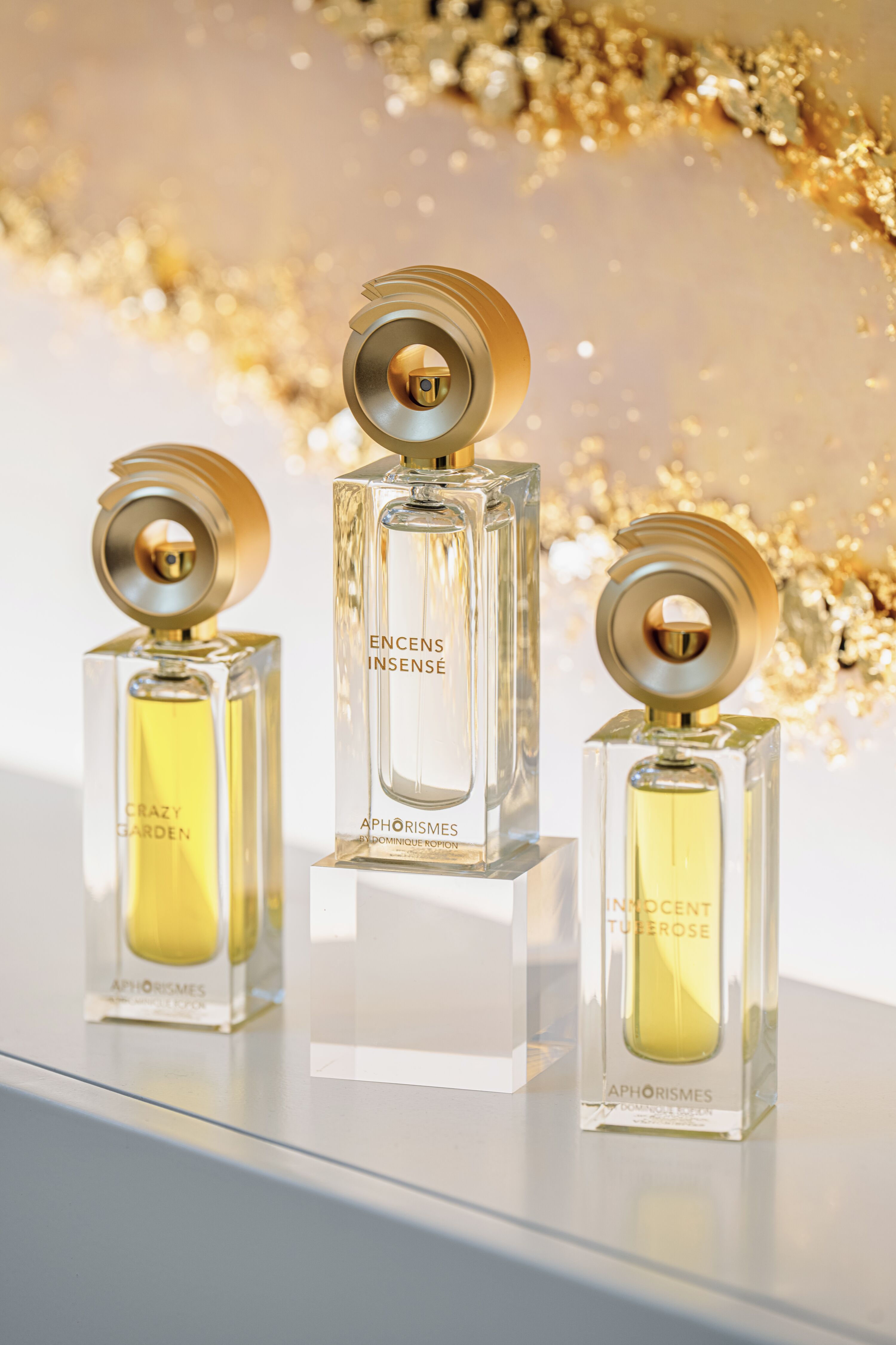 Aphorismes by Dominique Ropion