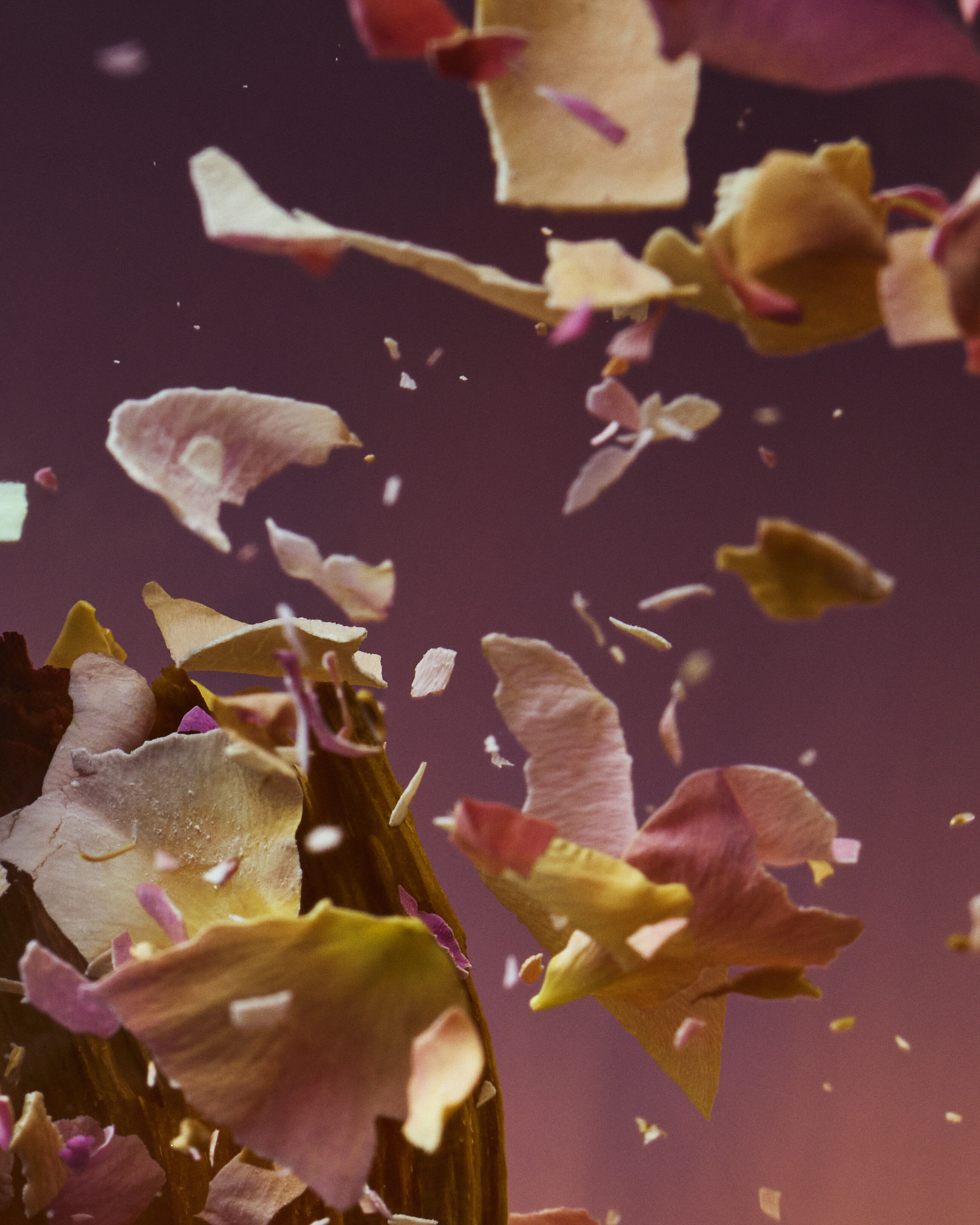 Rose Blaze by D'Orsay ad image