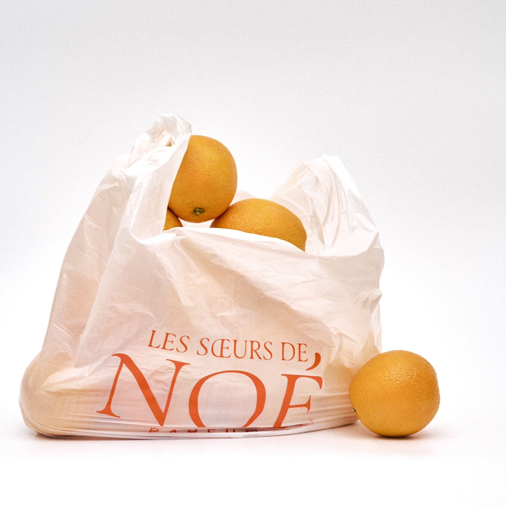 From Citrus Poetry to Neon Splash: The Golden Standard of Les Soeurs de Noé