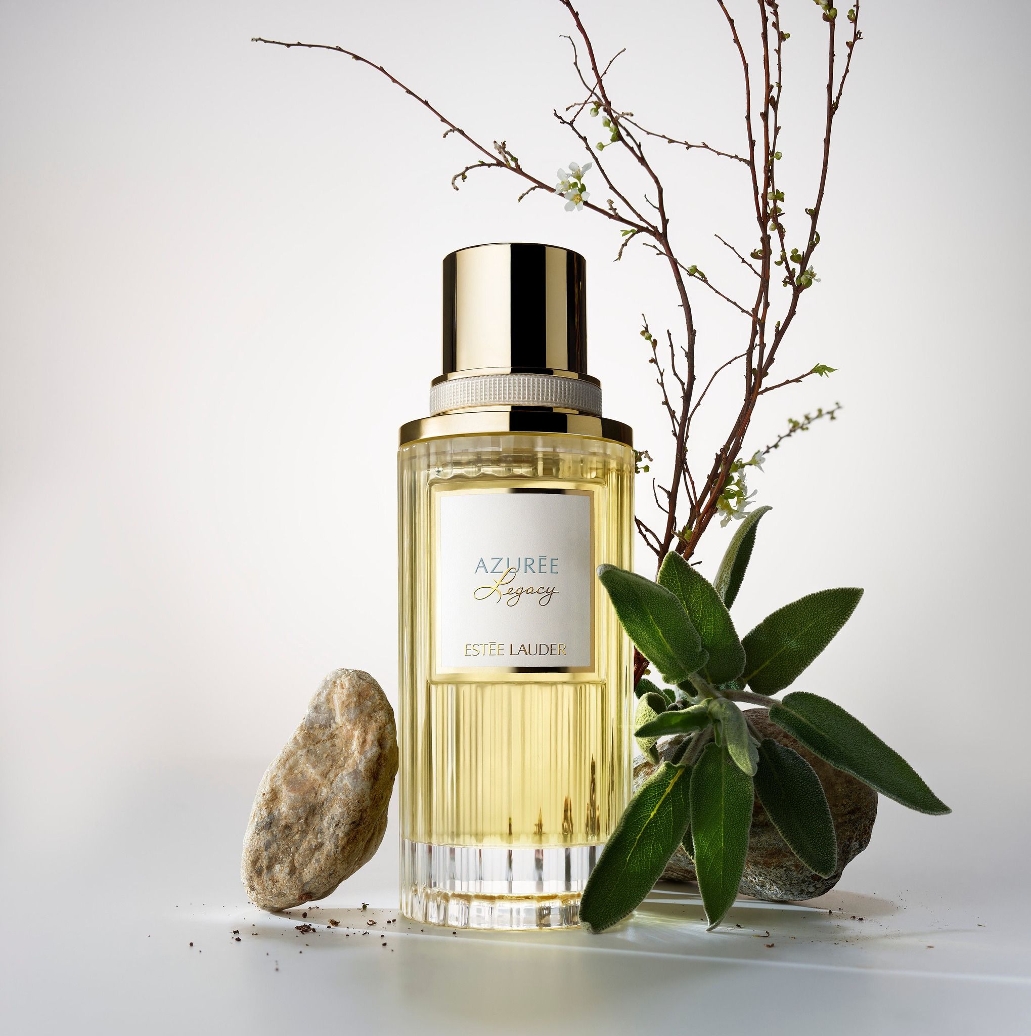 Azuree Legacy bottle with props of leaves and shoots behind it