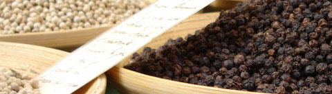 ウッディスパイシー