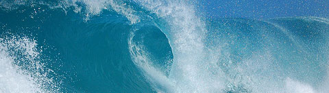 アロマティックアクアティック