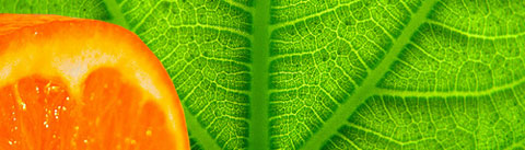 シトラスアロマティック