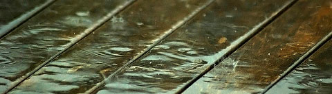 ウッディアクアティック