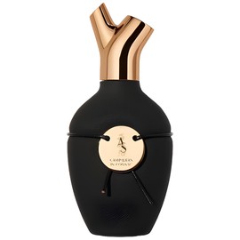 Cashmeran in Cognac Scents of Wood perfume - a fragrância