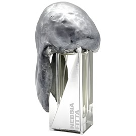 Nebbia Fitta Extrait de Parfum Filippo Sorcinelli perfume - a new