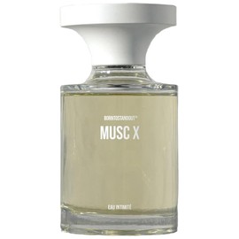 Musc X BORNTOSTANDOUT® perfume - a new fragrance for women and men