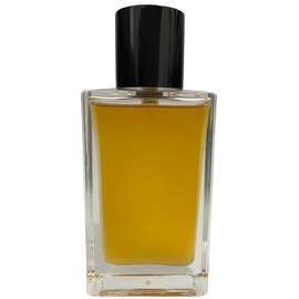 no name SARTORIAL香水 100ml No name Parfums Astraux perfume - a new fragrance for women and