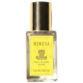 Mimosa Maria Candida Gentile perfume - a new fragrance for women