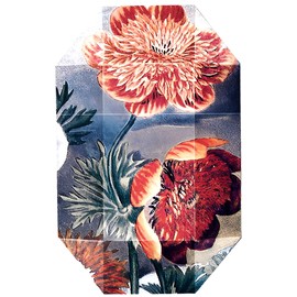 香水(ユニセックス) Stella McCartney The Print Collection 30 Stella McCartney Limited Edition 'Print Collection' Perfumes