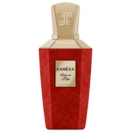 Rose on Fire Canéza 香水 - 2026年のユニセックス 新着フレグランス